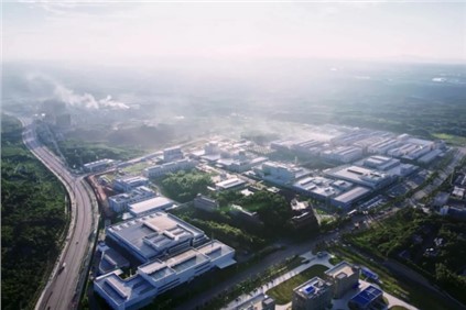 再添一国家级荣誉！球盟会核心产品“四氧化三钴”入选国家单项冠军产品
